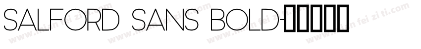 Salford Sans Bold字体转换